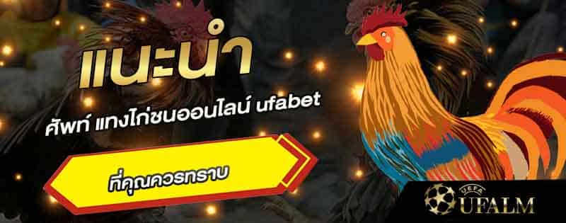 ศัพท์ไก่ชน 