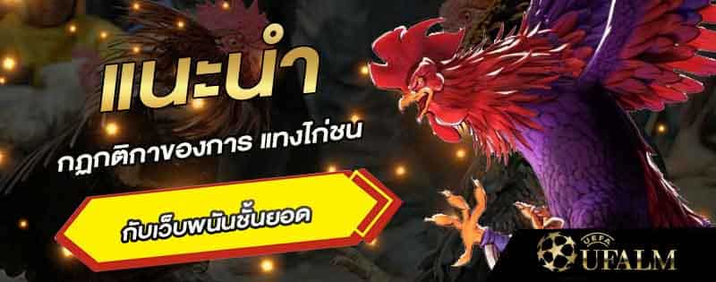 ศัพท์ไก่ชน 