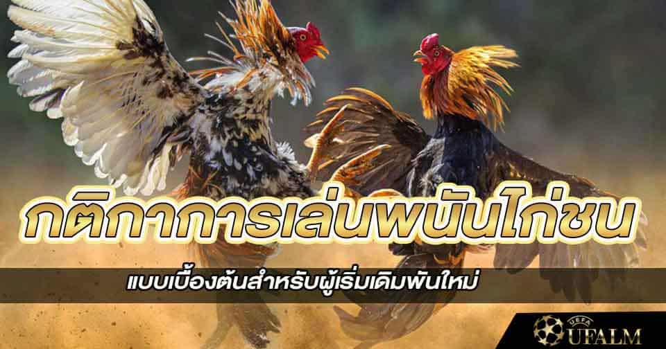 วิธีแทงไก่ 