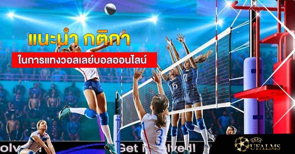 แทงวอลเลย์บอลออนไลน์
